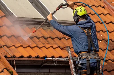 Démoussage et hydrofuge de toiture à Ambrus